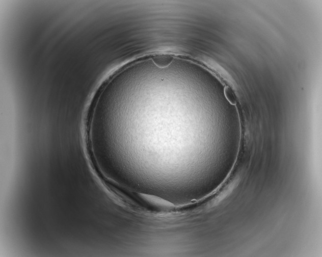 X0000096660989200802121127