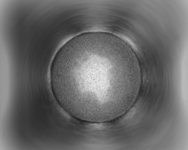 X0000096660990200802121127