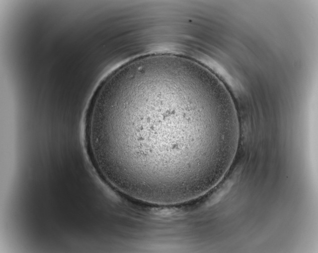 X0000096660991200802121127