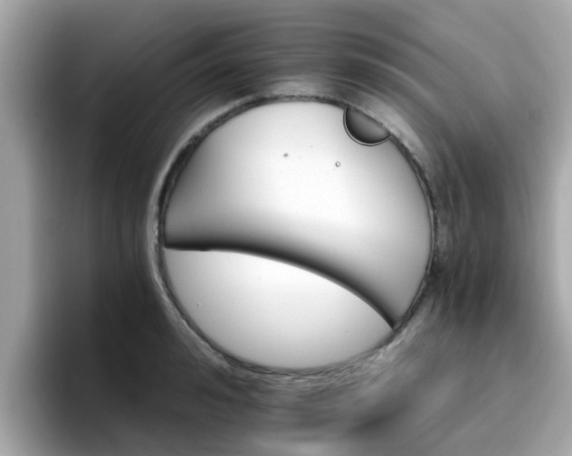 X0000096660992200802121127