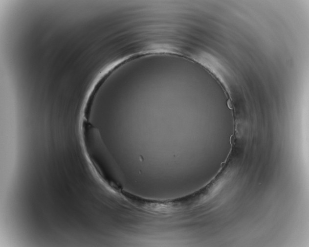 X0000096660995200802121127