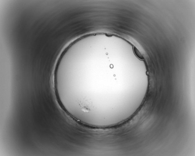 X0000096660996200802121127