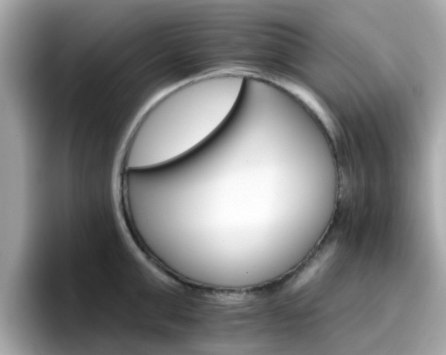 X0000096660999200802121127