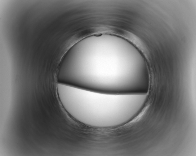 X0000096661001200802121127