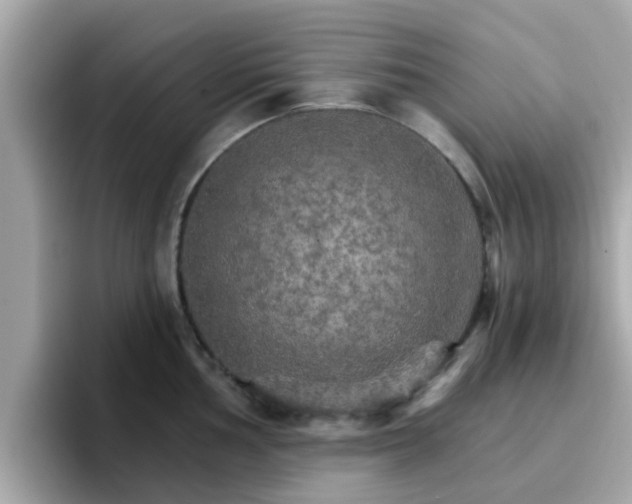 X0000096661002200802121127