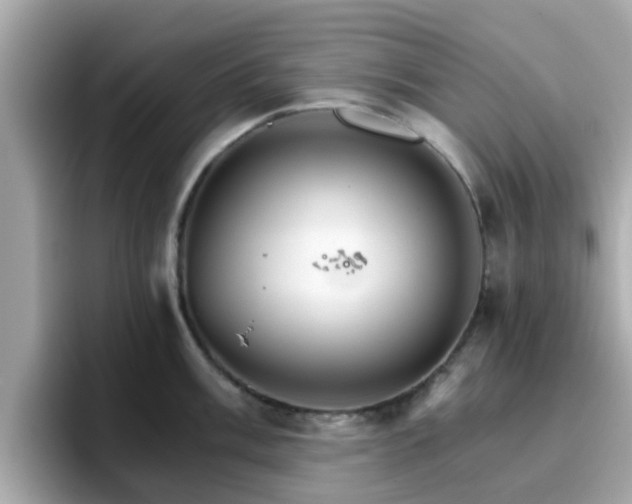 X0000096661003200802121127