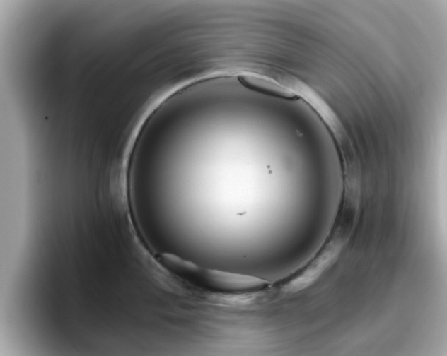 X0000096661004200802121127