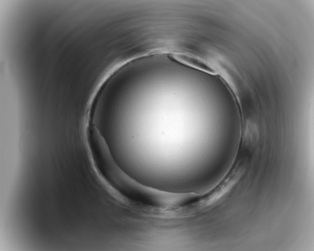 X0000096661005200802121127