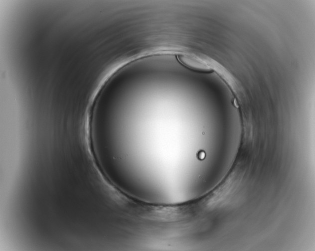 X0000096661006200802121127