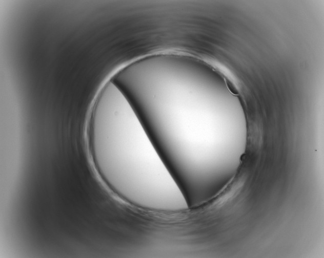 X0000096661007200802121127