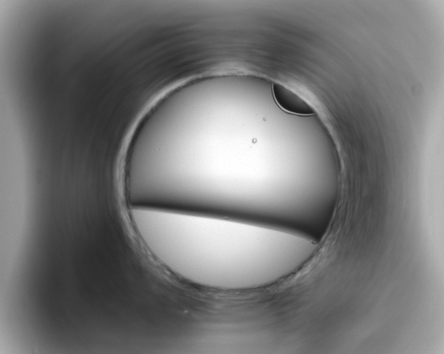 X0000096661008200802121127