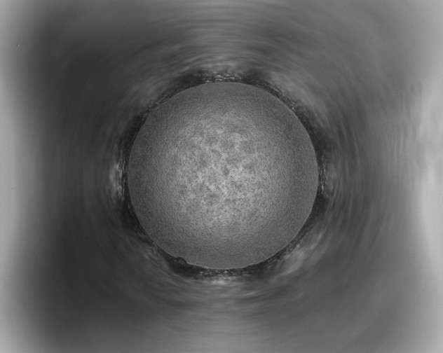 X0000096661010200802121126