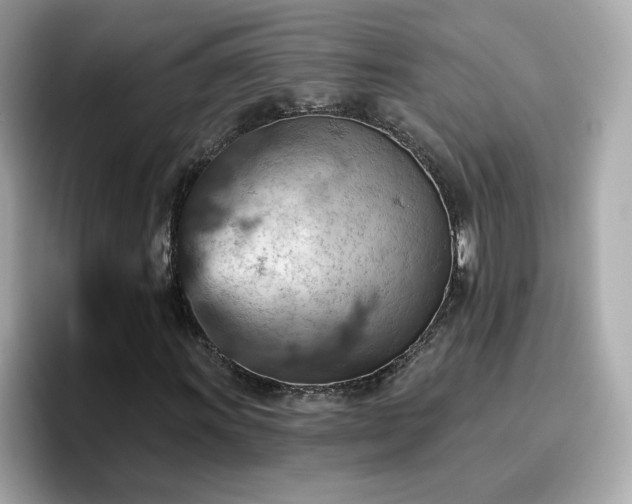 X0000096661011200802121126