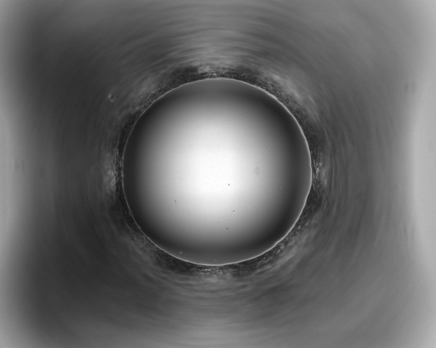 X0000096661012200802121126