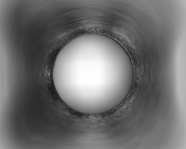 X0000096661013200802121126