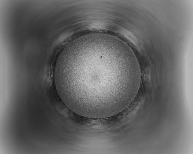 X0000096661015200802121126