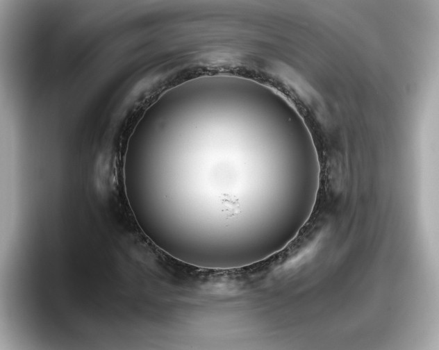 X0000096661016200802121126