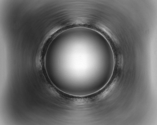 X0000096661018200802121126