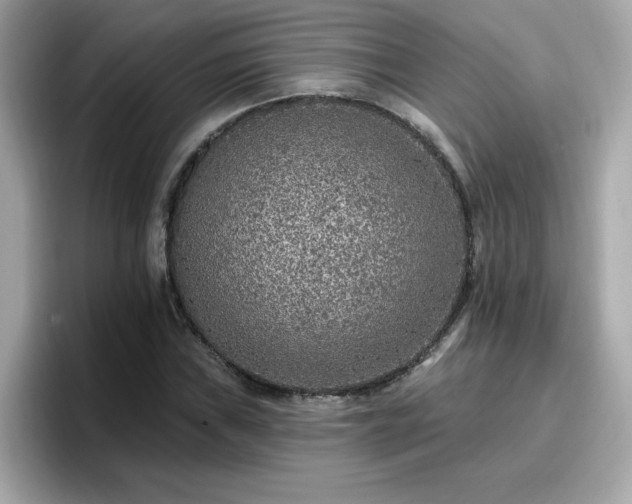 X0000096661019200802121126