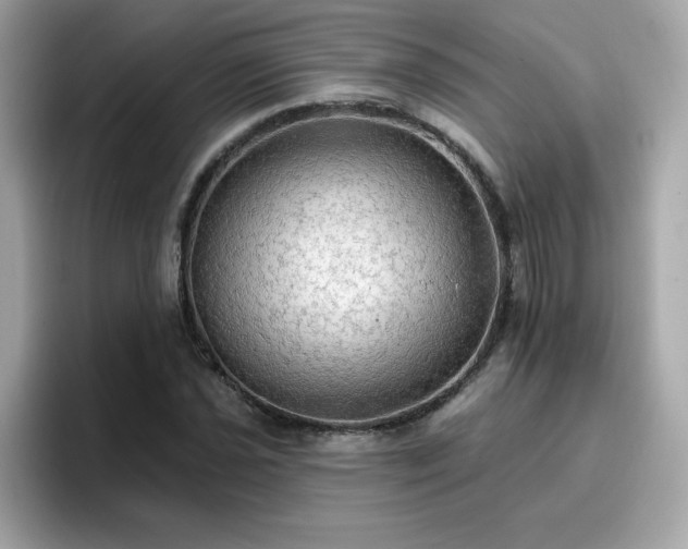 X0000096661021200802121126