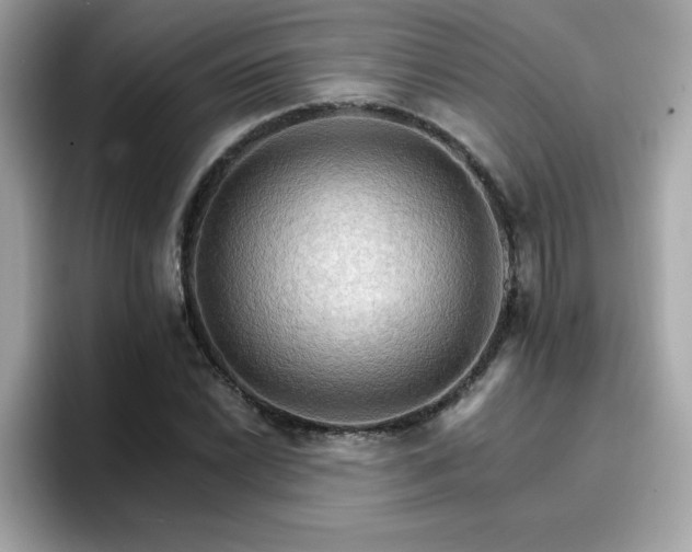 X0000096661022200802121126