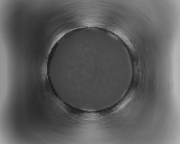 X0000096661023200802121126