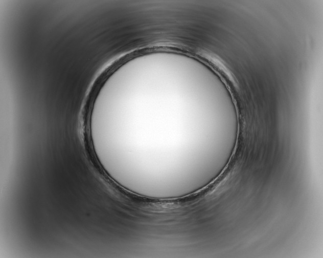 X0000096661024200802121126