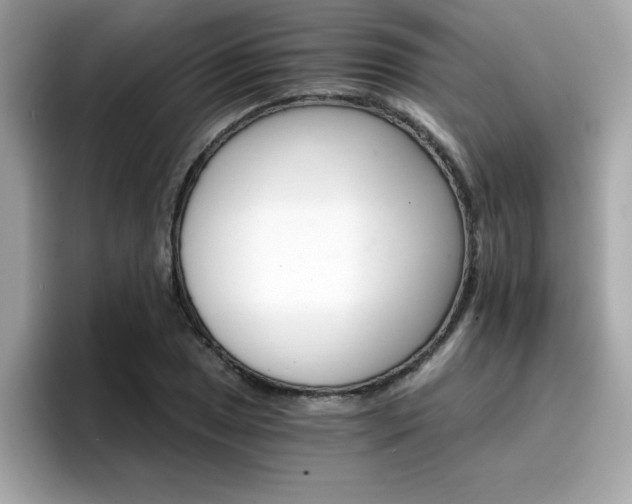 X0000096661025200802121126