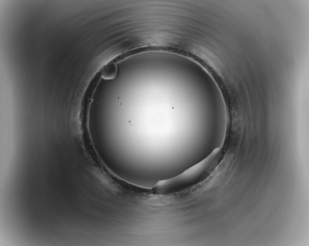 X0000096661026200802121126