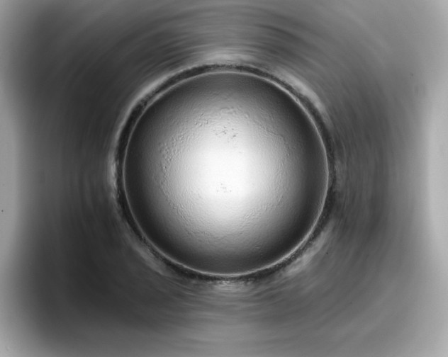 X0000096661029200802121126