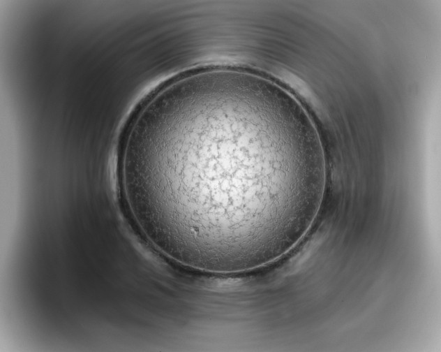 X0000096661030200802121126