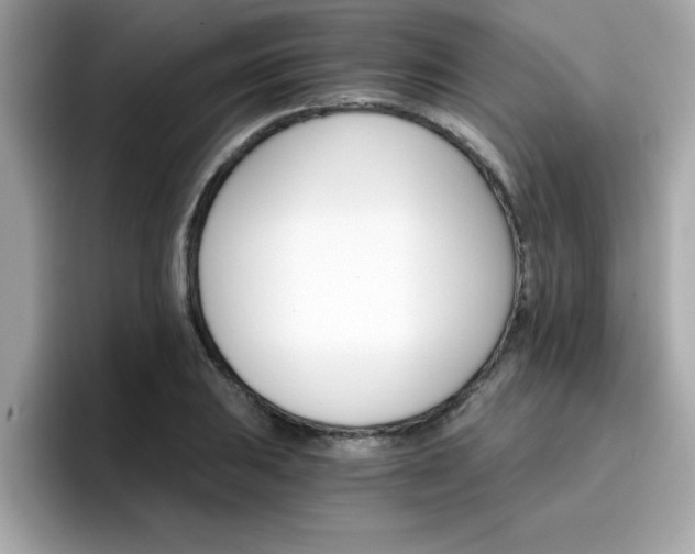 X0000096661031200802121126