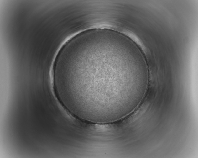 X0000096661032200802121126