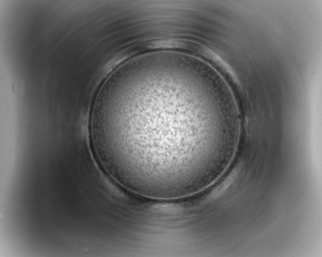 X0000096661033200802121126