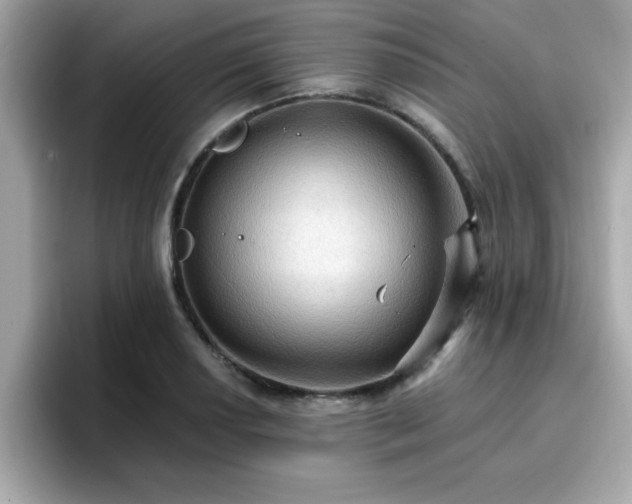 X0000096661034200802121126