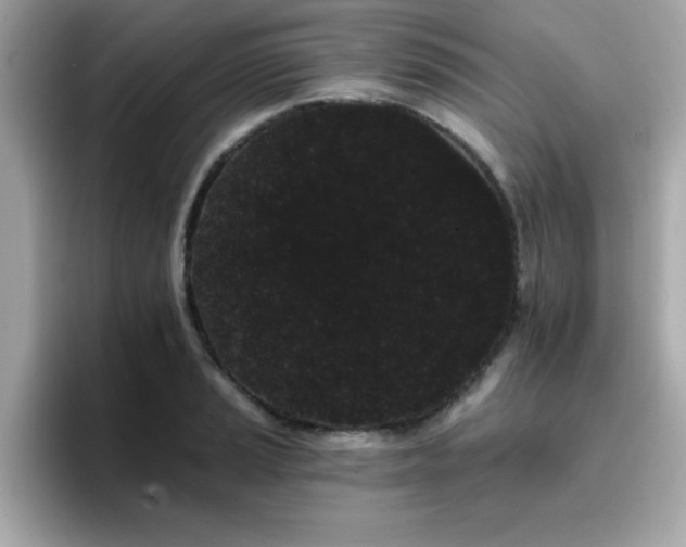 X0000096661037200802121126