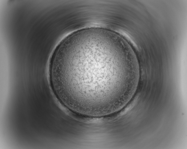 X0000096661038200802121126