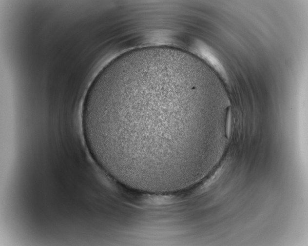 X0000096661039200802121126