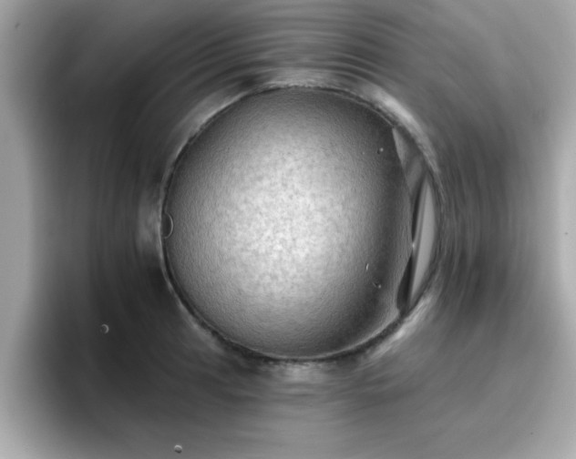 X0000096661041200802121126