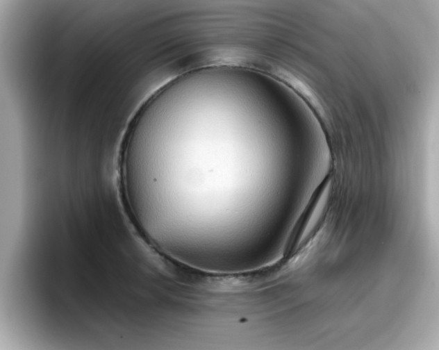 X0000096661042200802121126