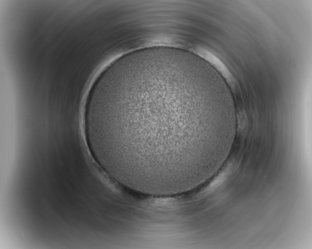 X0000096661043200802121126