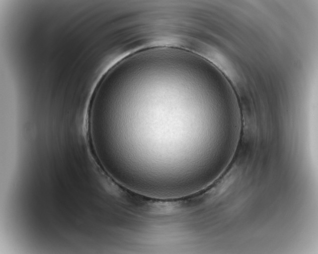 X0000096661044200802121126