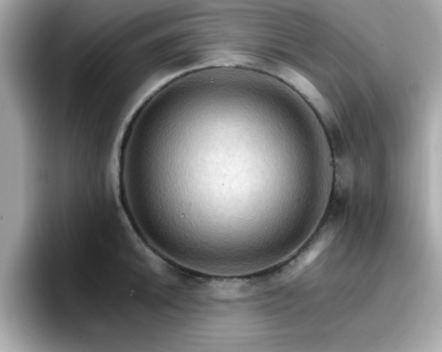 X0000096661046200802121126