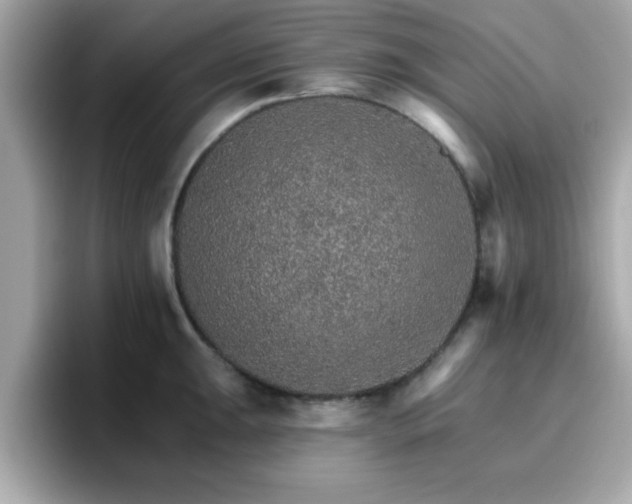 X0000096661047200802121126