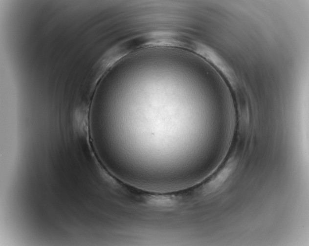 X0000096661049200802121126