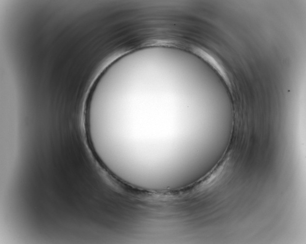 X0000096661050200802121126