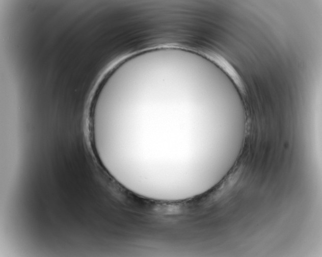 X0000096661051200802121126