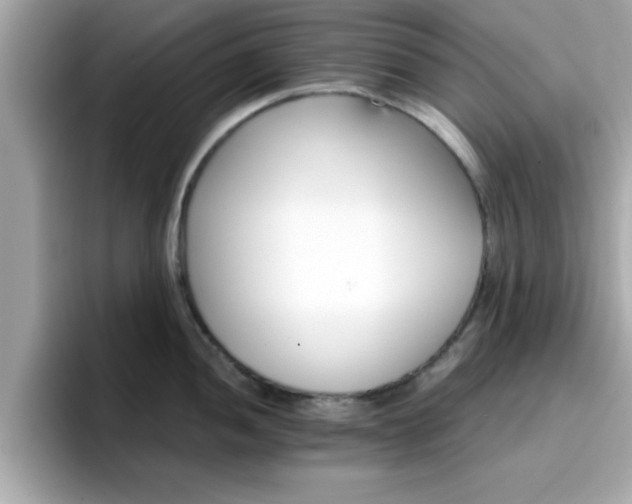 X0000096661052200802121126