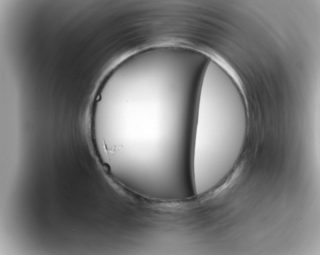 X0000096661053200802121127