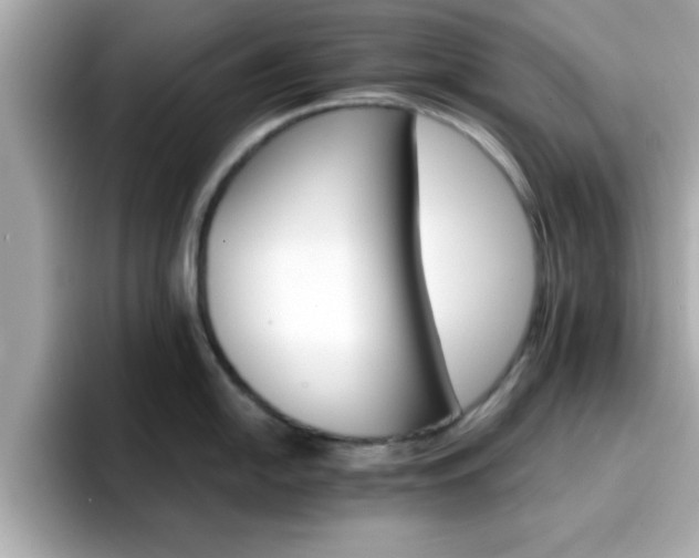 X0000096661054200802121127